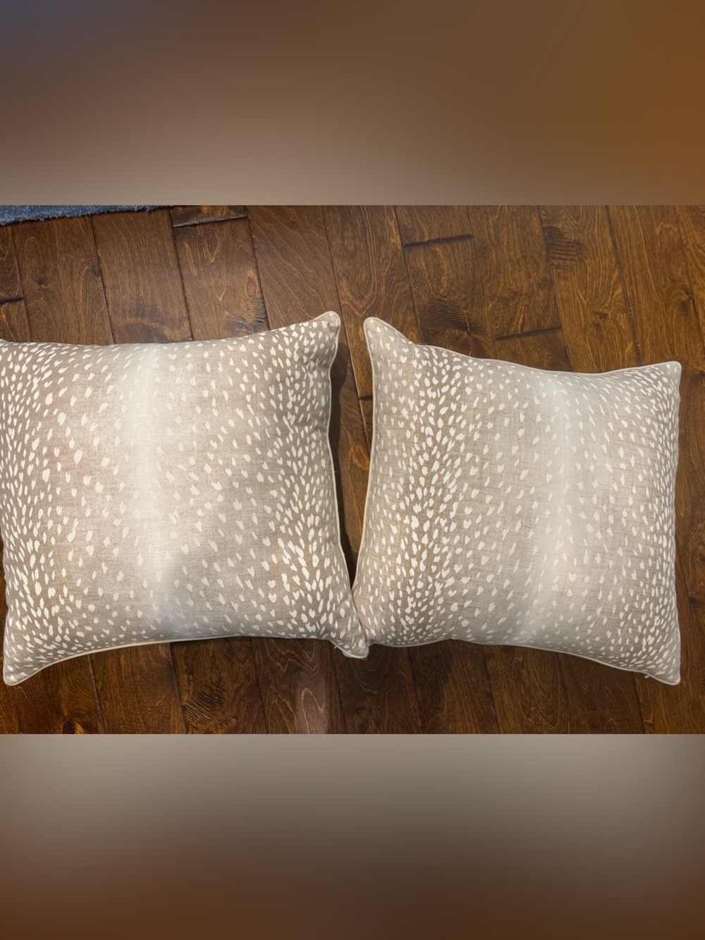 Ballard Designs Antelope Tan 22” Down Feather Throw Pillows Set of 2